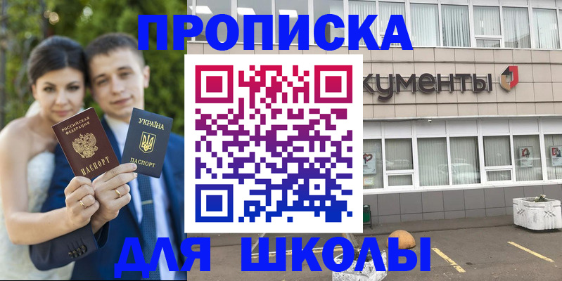 временная регистрация госуслуги в Алексине
